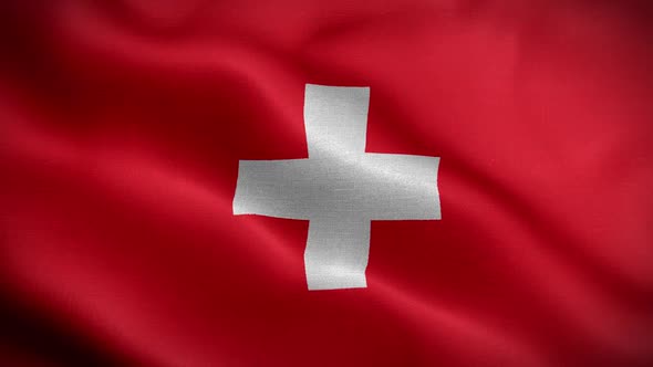 Swiss Flag Loop alt