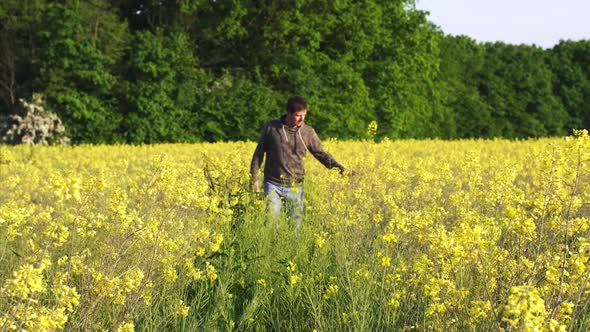 Man is Walking Down the Meadow Among Wildflowers Yellow Flowers in Countryside