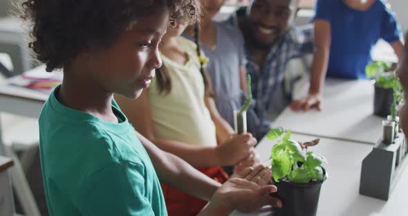 Video of happy african american male teacher and class of diverse pupils during biology lesson alt