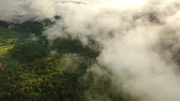 Aerial view flying above lush green tropical rain forest mountain with rain cloud cover during the r alt