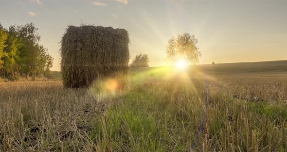 Flat Hill Meadow Timelapse at the Summer Sunset Time alt