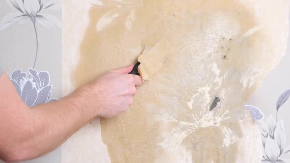 Removing Old Wallpaper with Spatula and a Sprayer with Water