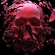 Skull Explosion - VideoHive Item for Sale