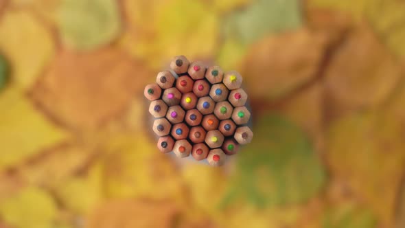 A stack of colored wooden pencils rotate against a background of dry autumn leaves. alt