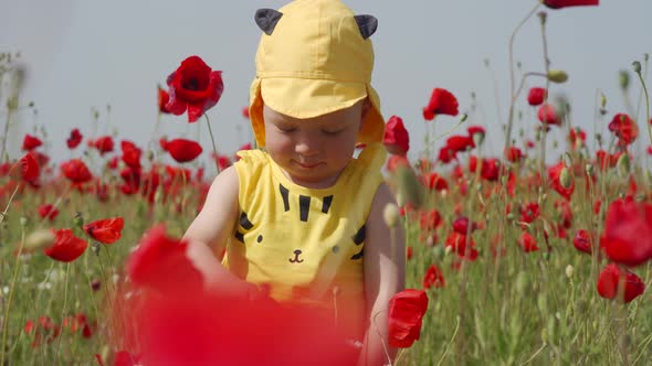 Happy Baby Boy in Yellow Outfit Having Fun in Poppy Field on a Sunny Summer Day Smiling Child alt
