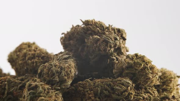 Cannabis marijuana buds on a white background. Medicinal herb, CBD and cannabis concept. alt