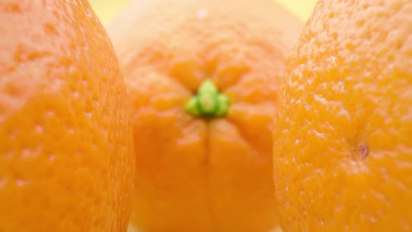 Fresh Oranges Closeup Macro Shot of Exotic Fruits alt