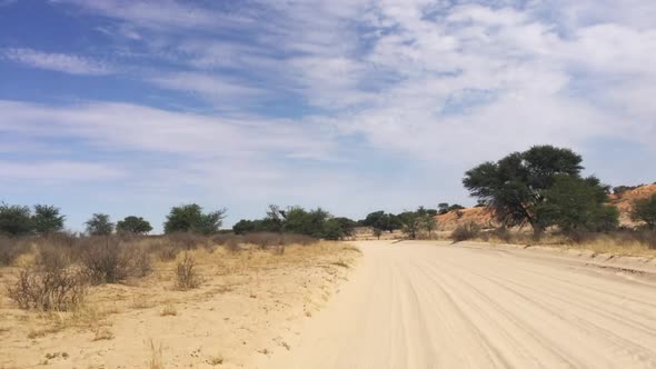 The view of the Kalahari dirt roads through a safari vehicle in the Kgalagadi Transfrontier Park on alt