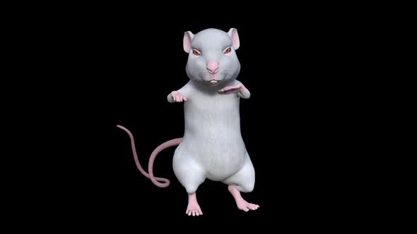 White Rat Dancing