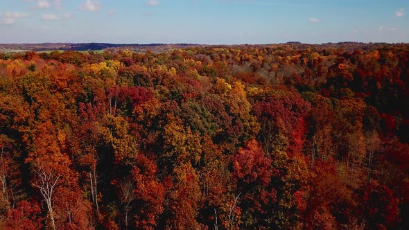 4k Aerial View of Drone Flying above beautiful forest with stunning autumn colors on fall day 