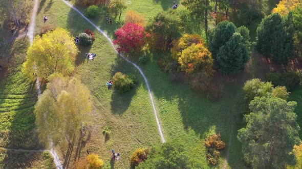People Walk in the Park on a Warm Autumn Day