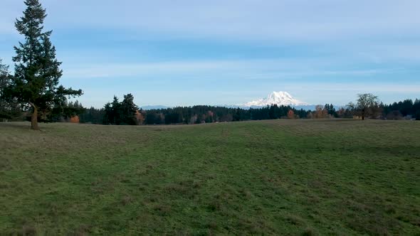 A beautiful crisp fall day in Washington State.  Ariel footage of green pasture with the snow-capped alt