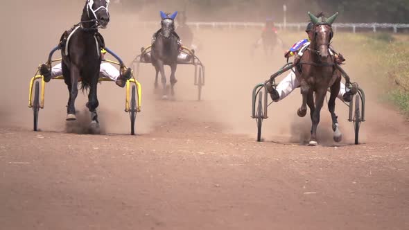 Horse Racing Of The Wagons alt