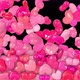 Pink Valentine Hearts Transition - VideoHive Item for Sale