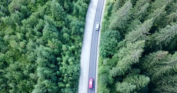 Aerial view of summer forest with a road. Captured from above with a drone. Car