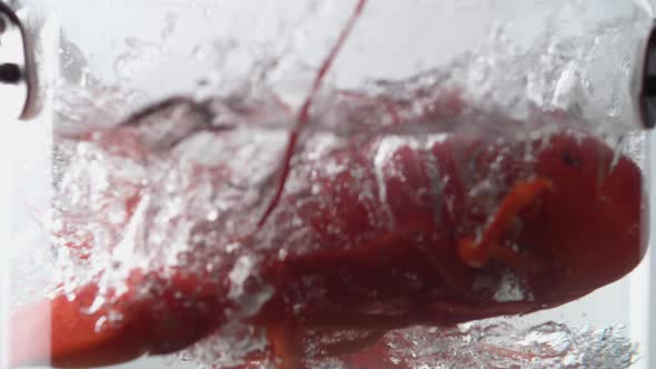 Camera follows cooking lobster in boiling water. Slow Motion. alt