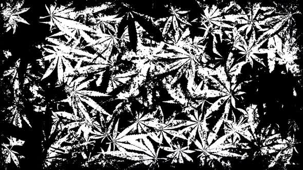 Marijuana Cannabis Grunge Overlay