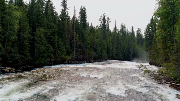 River flowing through green forest 4k alt