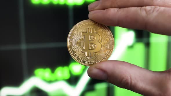 Male hand holding gold bitcoin coin against monitor with cryptocurrency chart