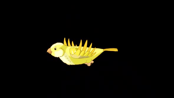 Yellow canary flies alpha matte HD