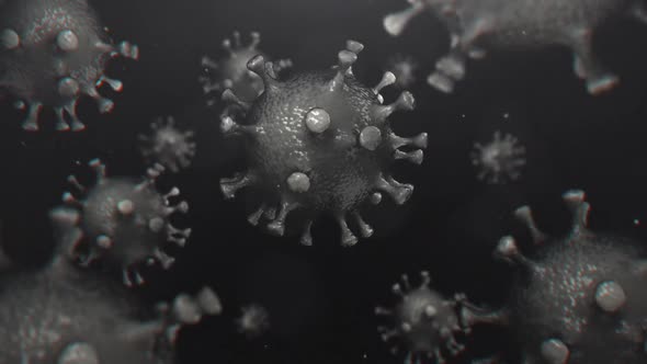 Coronavirus V2