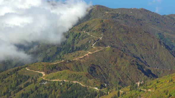 The Road From the Forest and Bushes on the Mountain Ridge alt