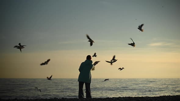 Caucasian Woman Feeding Seagulls on the Sea at Sunset alt