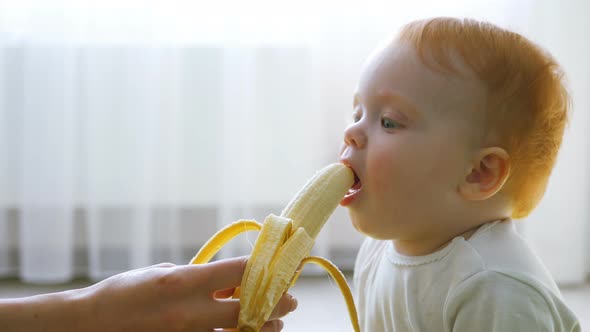 Redhead Baby Girl Eats a Banana