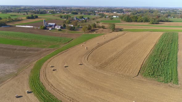 Harvested Corn Fields and Rolled Corn Stalks and Amish Farms alt