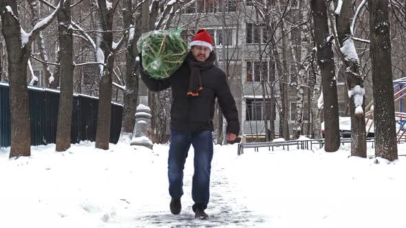 Man Carries a Christmas Tree Packed in a Grid Just Bought at the Christmas Market alt