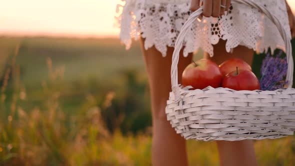 Beautiful sexy blonde girl in white dress posing in a field at sunset with a basket of fruit alt