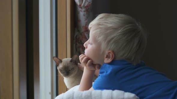 Stay at Home Quarantine Coronavirus Pandemic Prevention, Four Year Old Boy Looks Through the Window