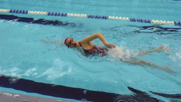 Training Of Female Amateur Swimmer Doing Front Crawl In Swimming Pool