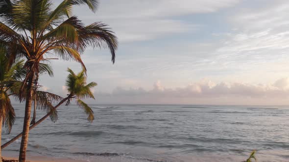 Man Standing Alone Hero Shot on the Beach Under Palm Trees in Punta Cana alt