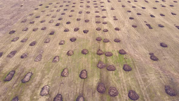 Flying Over Straight Rows of Piles of Manure in an Agricultural Field