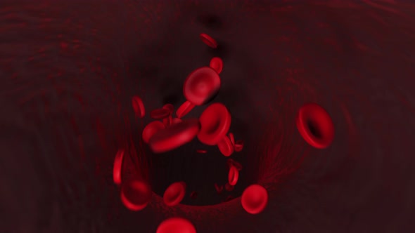 Red blood cells in the artery flow inside the body human health care.