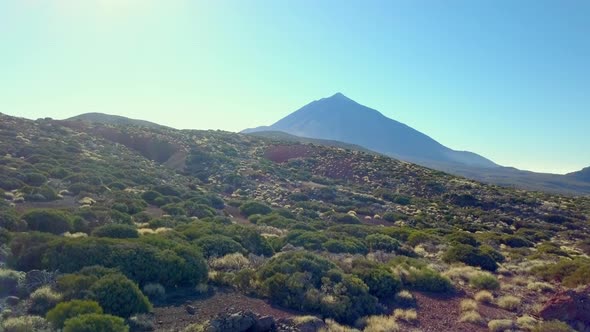 Green Grasses on the Mountains in El Teidi Volcano in Tenerife Spain alt