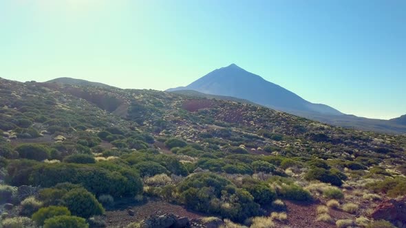 Green Grasses on the Mountains in El Teidi Volcano in Tenerife Spain