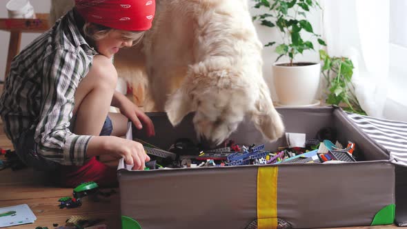 Funny Video. Love for Pets. a Big White Dog Helps Little Boy To Look for Details for a Constructor.