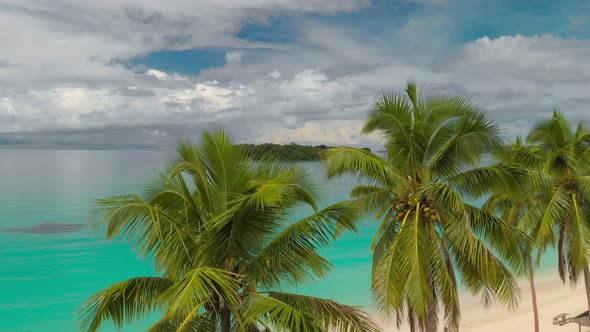 Port Orly sandy beach with palm trees, Espiritu Santo Island, Vanuatu alt