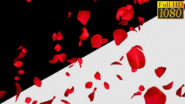 Falling Rose Petals On Alpha Channel Loops V1 alt