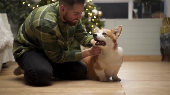 Man petting a dog in front of a Christmas tree at home alt