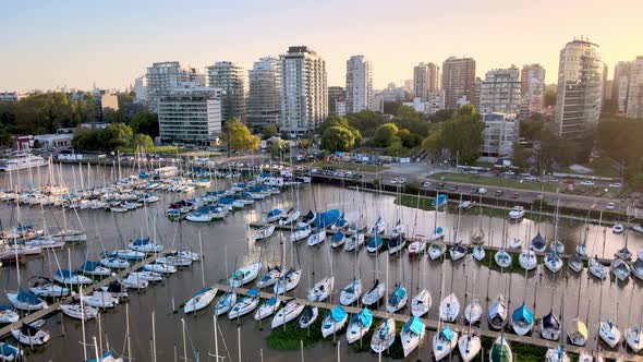 Aerial dolly in of sailboats parked inline in Olivos Port and buildings in background at sunset, Bue alt