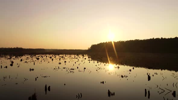 Wild Swamp On Sunset