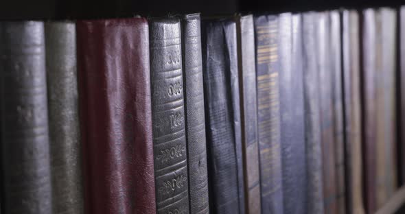 Many Books Organized in Shelves in a Big Bookstore alt