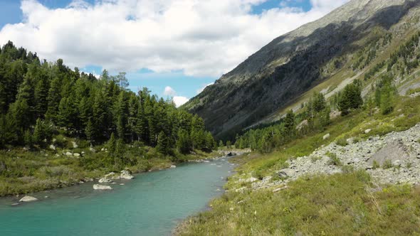 Altai Lake and Mountain River Surrounded by Trees