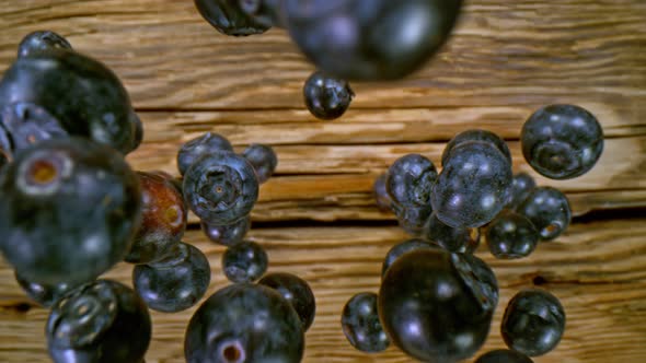 Super Slow Motion Detail Shot of Fresh Blueberries Falling on Wooden Table at 1000Fps alt