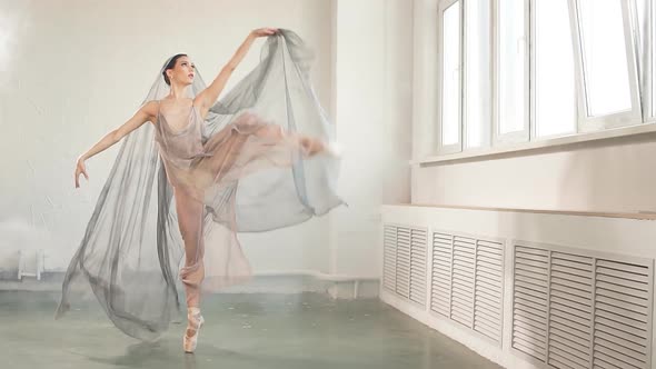 Ballerina Dressed in Scenic Dress, Is Dancing in the Studio. Body Ballet and Art