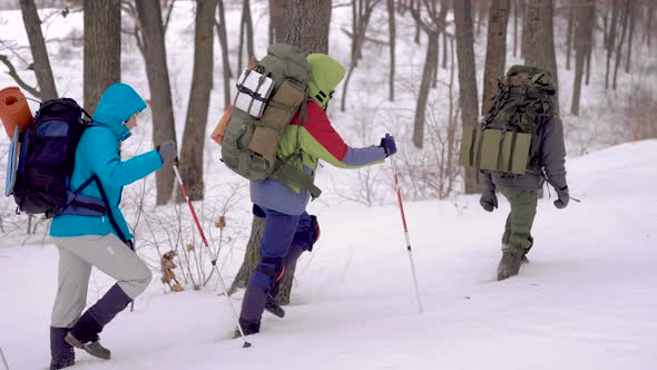 Four People in the Expedition. The Hike Takes Place in Difficult Conditions, People Fall Into alt