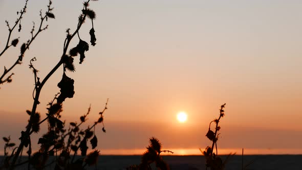 Sunrise over Sea. Timelapse alt